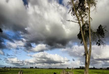 中国代表团斩获多面奖牌，荣耀之路