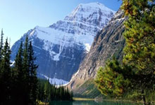 巴黑队正在积极备战未来的一场重要比赛