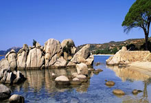 俱乐部风雨十日：战绩不佳、教练离任与球员调整的背后