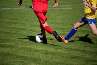 开云官网-仰泳大战美队领先毫厘之间，仰泳比赛视频欣赏